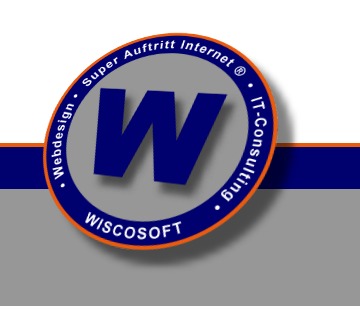 LOGO WISCOSOFT